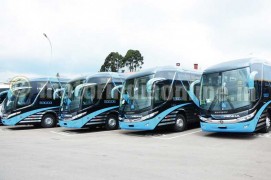 marcopolo buses prices